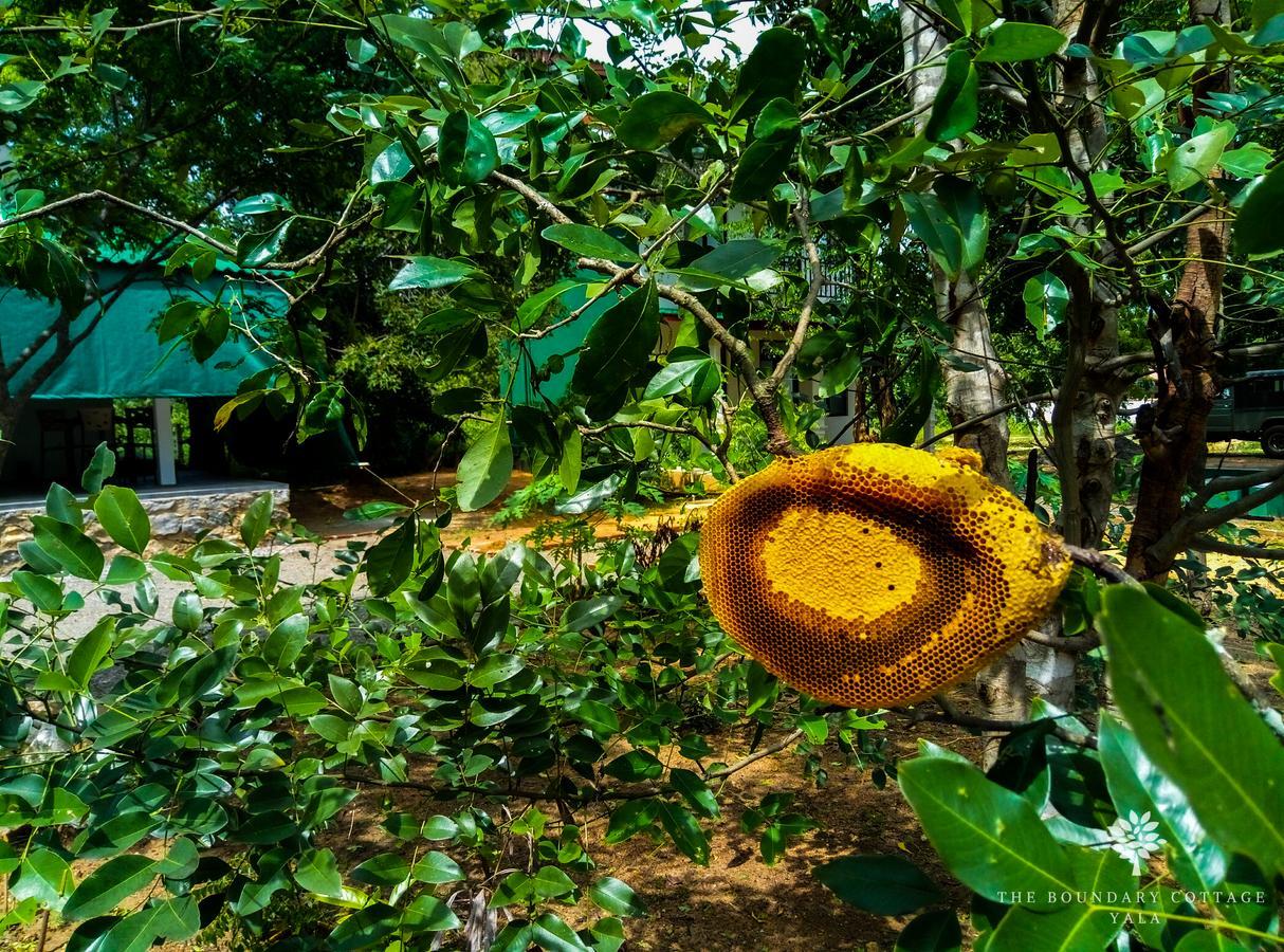 The Boundary Yala Kataragama Exterior foto
